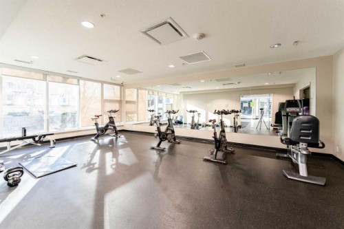 602-1320 1 Street Se, Calgary, AB - Indoor Photo Showing Gym Room