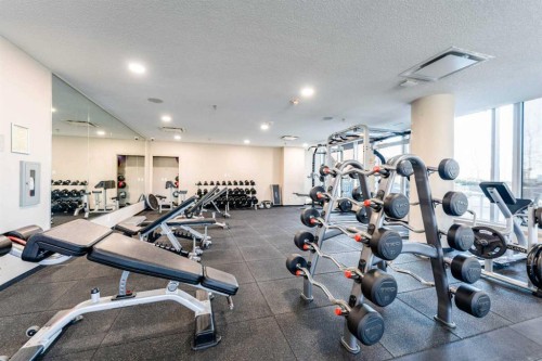 602-1320 1 Street Se, Calgary, AB - Indoor Photo Showing Gym Room