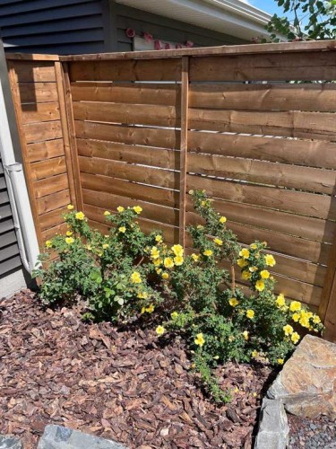 29 Precedence Glen, Cochrane, AB - Outdoor