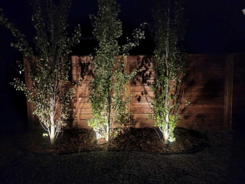 29 Precedence Glen, Cochrane, AB - Outdoor