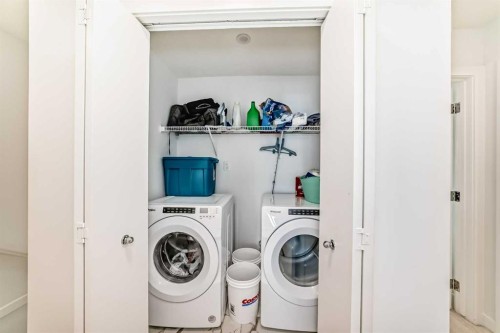 604-280 Chelsea Road, Chestermere, AB - Indoor Photo Showing Laundry Room