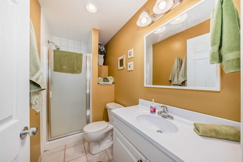 199 Mt Brewster Circle Se, Calgary, AB - Indoor Photo Showing Bathroom