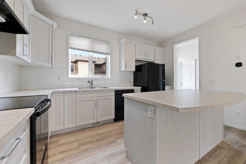 124 Cityspring Way Ne, Calgary, AB - Indoor Photo Showing Kitchen With Double Sink