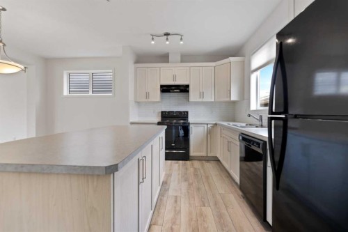 124 Cityspring Way Ne, Calgary, AB - Indoor Photo Showing Kitchen With Double Sink