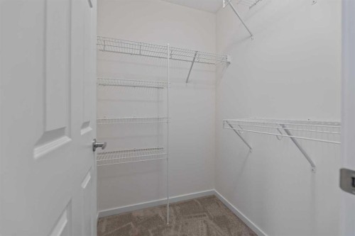 124 Cityspring Way Ne, Calgary, AB - Indoor With Storage