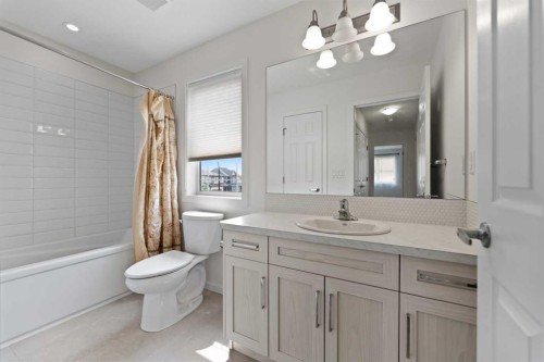 124 Cityspring Way Ne, Calgary, AB - Indoor Photo Showing Bathroom
