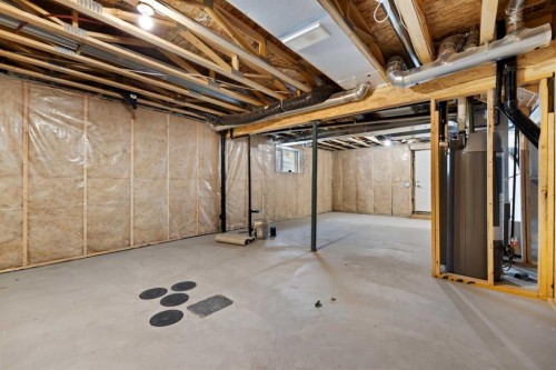 124 Cityspring Way Ne, Calgary, AB - Indoor Photo Showing Basement
