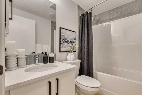 142 Belmont Passage Sw, Calgary, AB - Indoor Photo Showing Bathroom