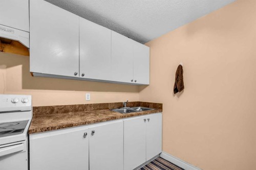 48 Faldale Close Ne, Calgary, AB - Indoor Photo Showing Kitchen With Double Sink