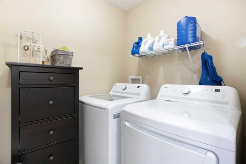 31 Sunset Link, Cochrane, AB - Indoor Photo Showing Laundry Room