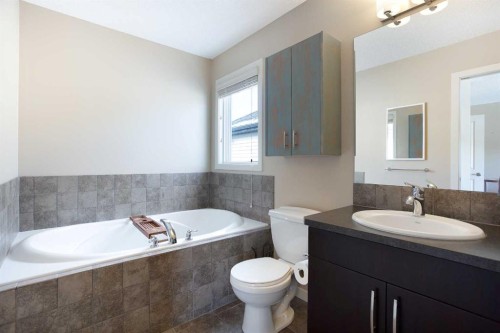 31 Sunset Link, Cochrane, AB - Indoor Photo Showing Bathroom