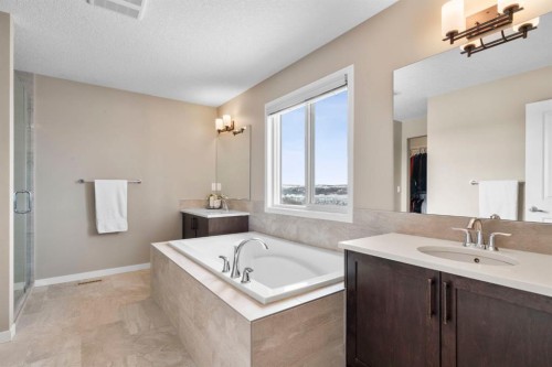 55 Cranarch Terrace Se, Calgary, AB - Indoor Photo Showing Bathroom