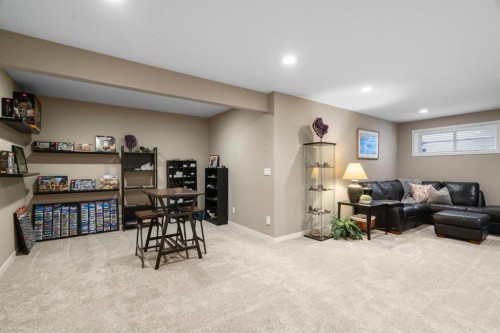 55 Cranarch Terrace Se, Calgary, AB - Indoor Photo Showing Basement