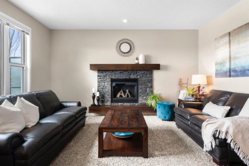 55 Cranarch Terrace Se, Calgary, AB - Indoor Photo Showing Living Room With Fireplace