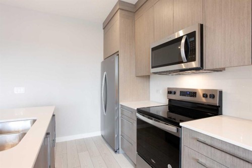 2213-60 Skyview Ranch Road Ne, Calgary, AB - Indoor Photo Showing Kitchen With Double Sink With Upgraded Kitchen