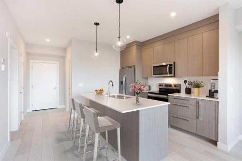 2213-60 Skyview Ranch Road Ne, Calgary, AB - Indoor Photo Showing Kitchen With Double Sink With Upgraded Kitchen
