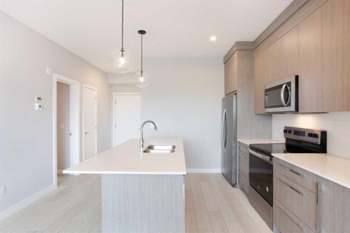 2213-60 Skyview Ranch Road Ne, Calgary, AB - Indoor Photo Showing Kitchen With Double Sink With Upgraded Kitchen