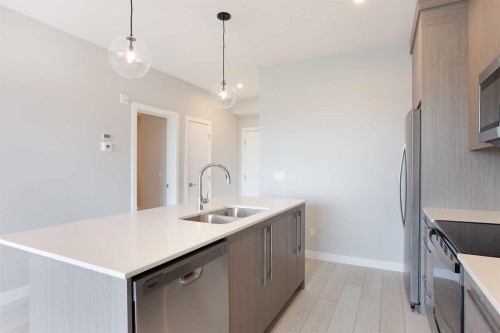 2213-60 Skyview Ranch Road Ne, Calgary, AB - Indoor Photo Showing Kitchen With Double Sink With Upgraded Kitchen