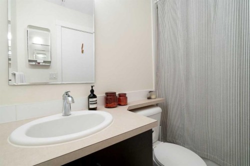 406-830 Centre Avenue Ne, Calgary, AB - Indoor Photo Showing Bathroom