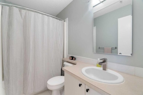 406-830 Centre Avenue Ne, Calgary, AB - Indoor Photo Showing Bathroom