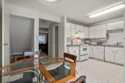 111 Deerfield Drive Se, Calgary, AB - Indoor Photo Showing Kitchen With Fireplace