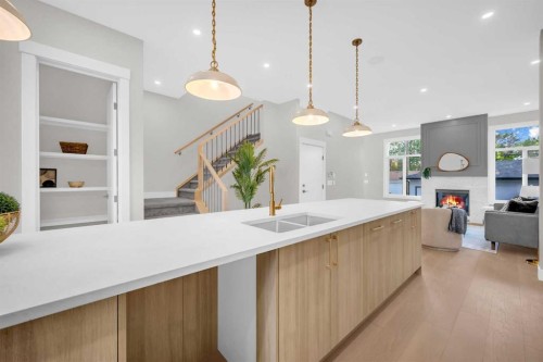 8114 Bowness Road Nw, Calgary, AB - Indoor Photo Showing Kitchen With Double Sink