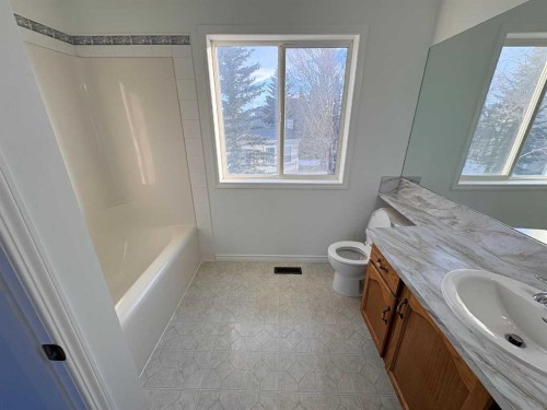 7901 Martha'S Haven Park Ne, Calgary, AB - Indoor Photo Showing Bathroom