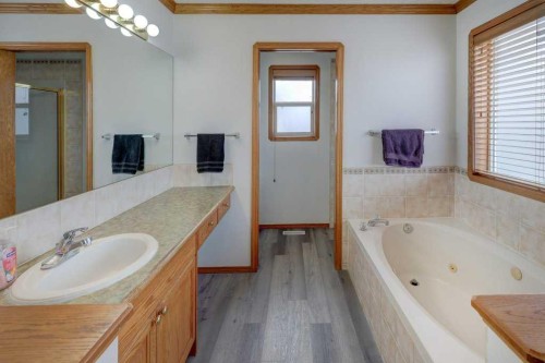 182 Harvest Creek Close Ne, Calgary, AB - Indoor Photo Showing Bathroom