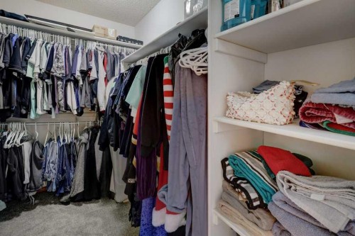 182 Harvest Creek Close Ne, Calgary, AB - Indoor With Storage