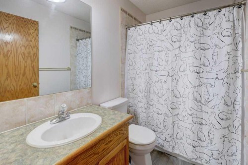 182 Harvest Creek Close Ne, Calgary, AB - Indoor Photo Showing Bathroom
