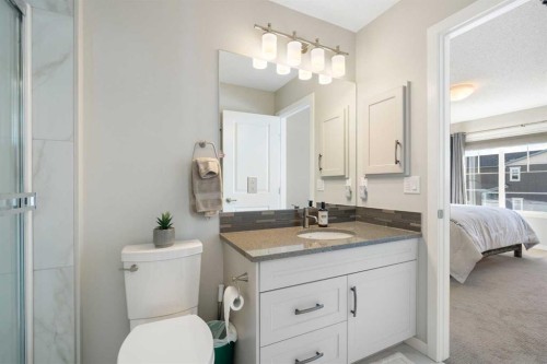 46 Emberside Place, Cochrane, AB - Indoor Photo Showing Bathroom