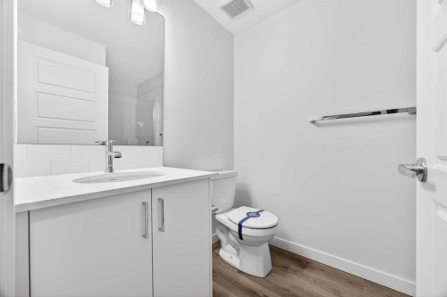 66 Creekside Way Sw, Calgary, AB - Indoor Photo Showing Bathroom