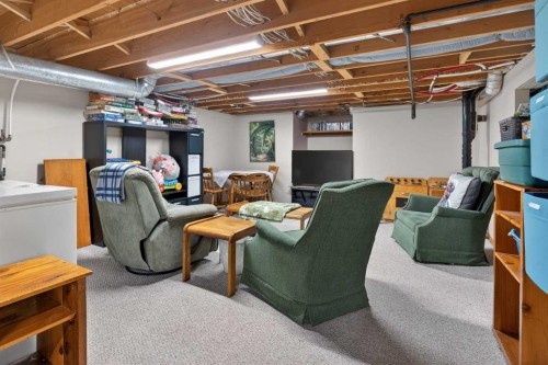 204 Sunrise Circle Se, Calgary, AB - Indoor Photo Showing Basement