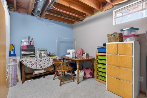 204 Sunrise Circle Se, Calgary, AB - Indoor Photo Showing Basement