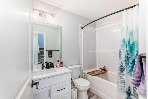 160 Lucas Common Nw, Calgary, AB - Indoor Photo Showing Bathroom