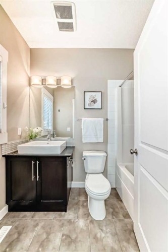 606 Skyview Point Place Ne, Calgary, AB - Indoor Photo Showing Bathroom
