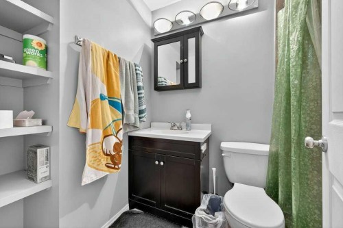 60 Bermuda Court Nw, Calgary, AB - Indoor Photo Showing Bathroom