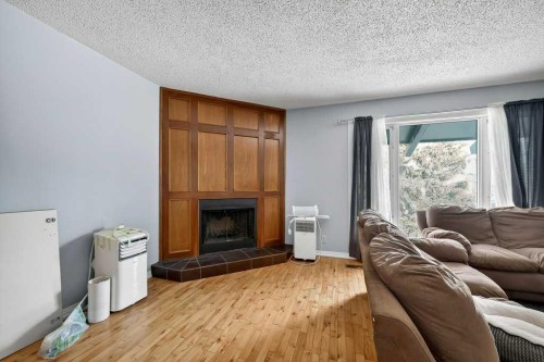 60 Bermuda Court Nw, Calgary, AB - Indoor Photo Showing Living Room With Fireplace