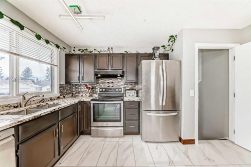 331 Bedford Place Ne, Calgary, AB - Indoor Photo Showing Kitchen With Double Sink