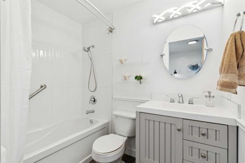 119 Midland Crescent Se, Calgary, AB - Indoor Photo Showing Bathroom