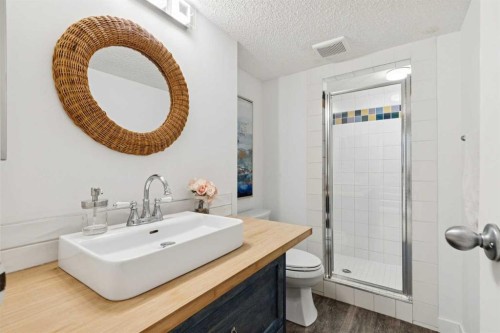 119 Midland Crescent Se, Calgary, AB - Indoor Photo Showing Bathroom