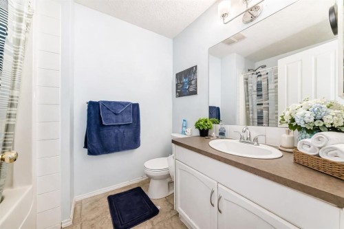 115 Saddlebrook Point Ne, Calgary, AB - Indoor Photo Showing Bathroom