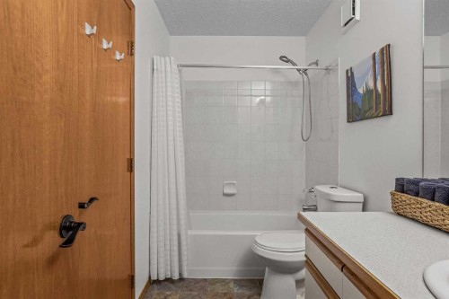 12-9 Blackrock Crescent West, Canmore, AB - Indoor Photo Showing Bathroom
