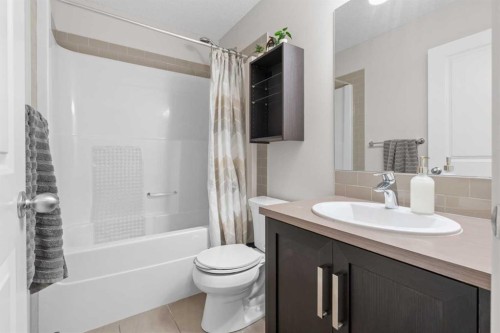 56 Legacy Main Street Se, Calgary, AB - Indoor Photo Showing Bathroom