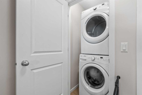 56 Legacy Main Street Se, Calgary, AB - Indoor Photo Showing Laundry Room