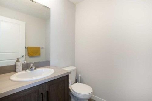 412-250 Fireside View, Cochrane, AB - Indoor Photo Showing Bathroom
