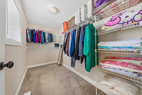 91 Bridlecrest Street Sw, Calgary, AB - Indoor With Storage