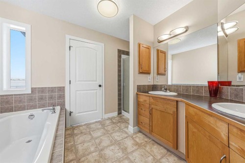 91 Bridlecrest Street Sw, Calgary, AB - Indoor Photo Showing Bathroom