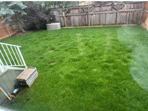 80 Auburn Springs Boulevard Se, Calgary, AB - Outdoor With Backyard