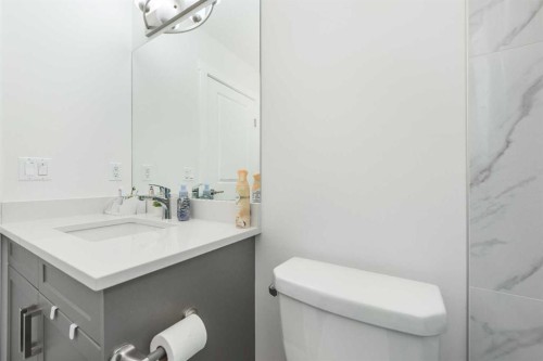 308 Sora Terrace Se, Calgary, AB - Indoor Photo Showing Bathroom